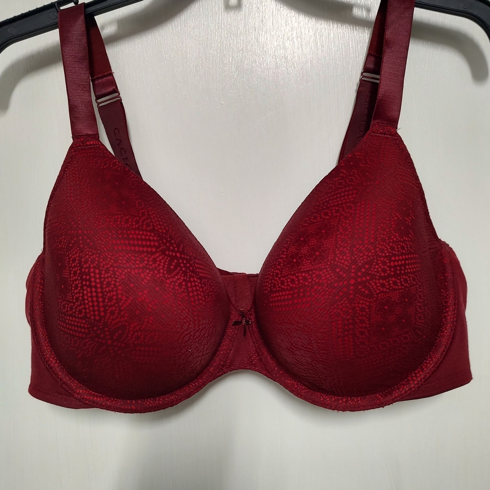 Lane Bryant Deep Red Lace Bra